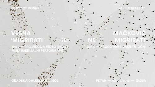 2019Migrirati - IMG_4819