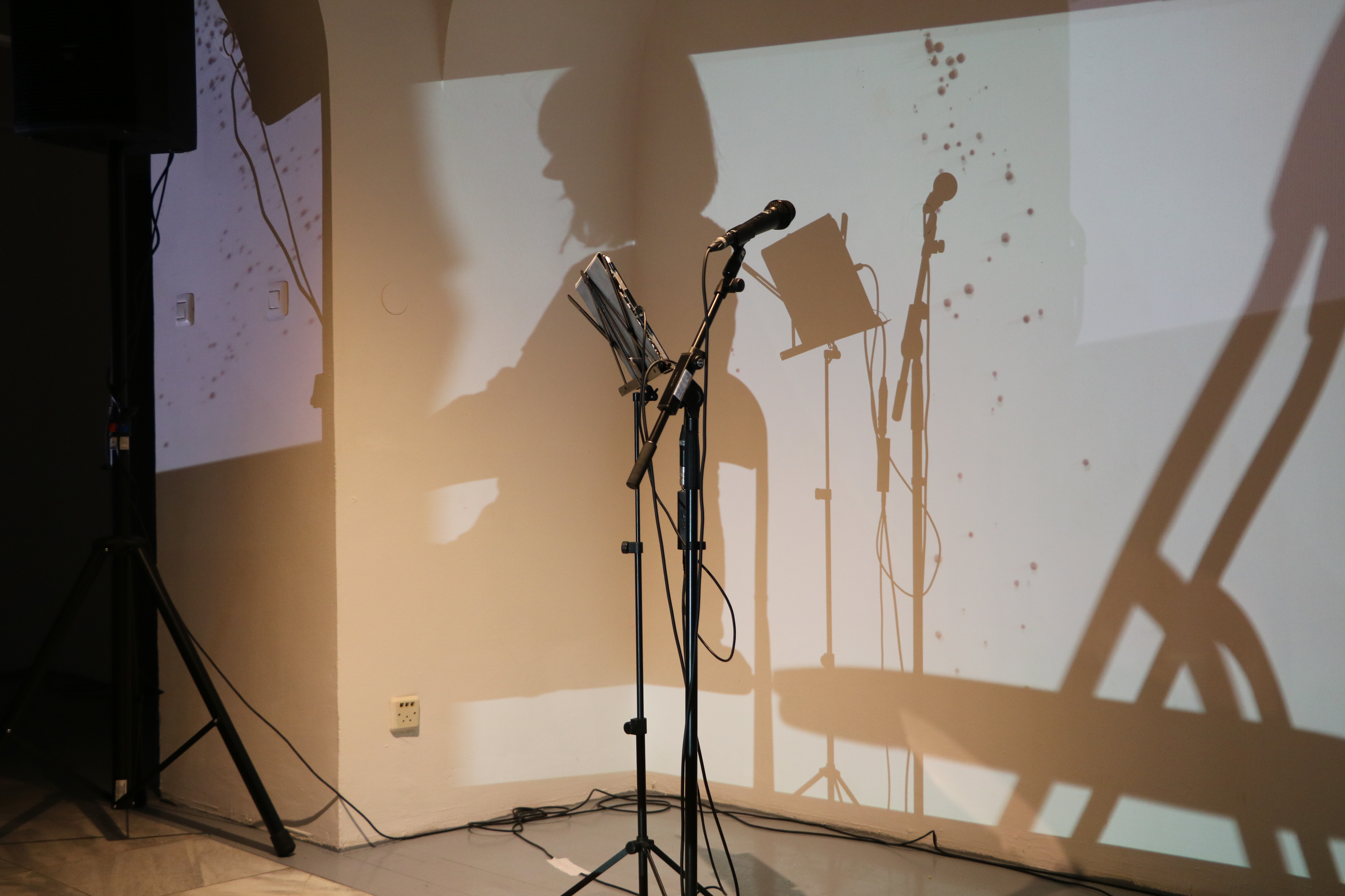 2019Migrirati - IMG_4832