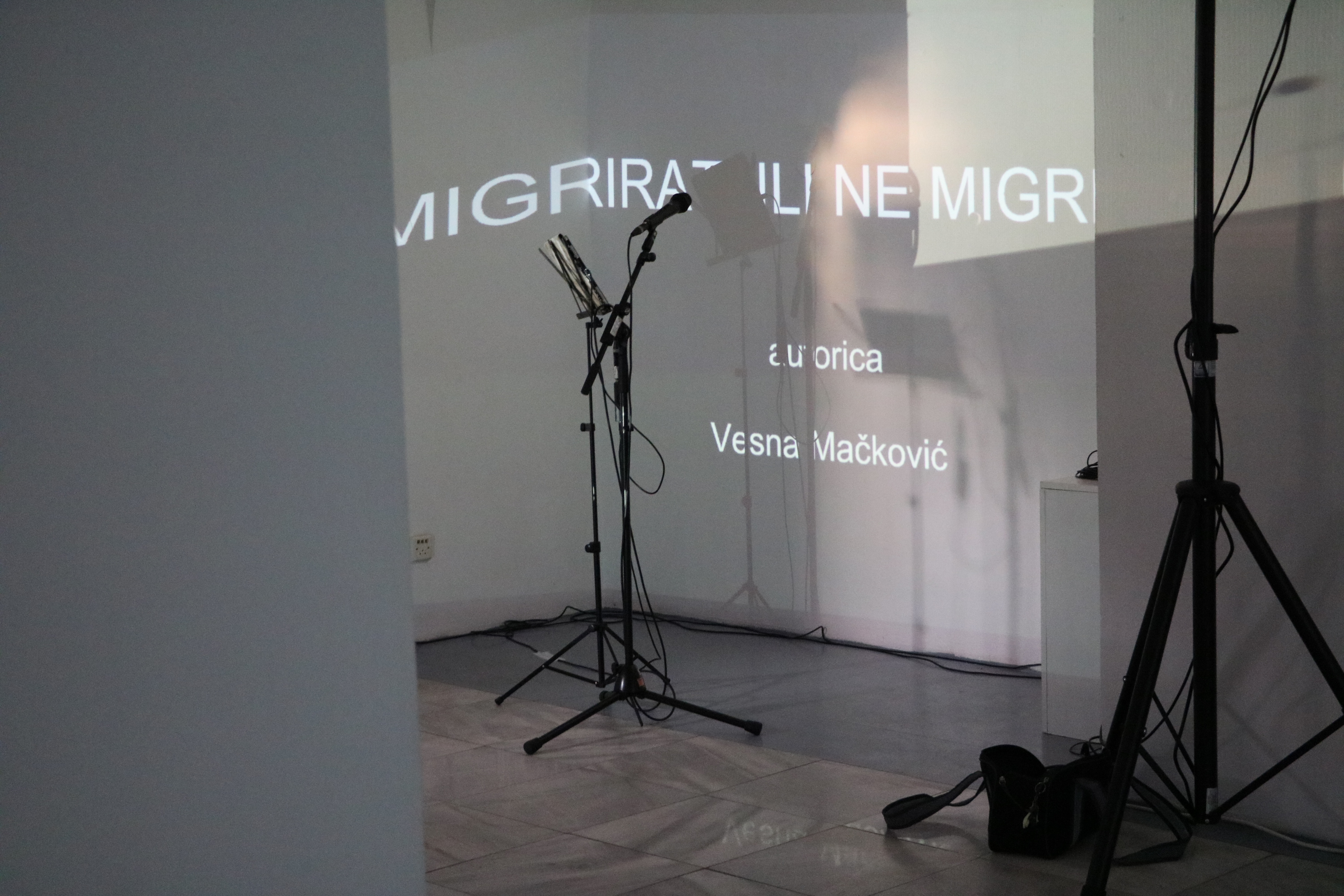 2019Migrirati - IMG_4833