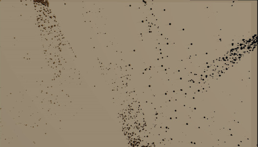 2019Migrirati - IMG_4752 2019Migrirati - IMG_4752